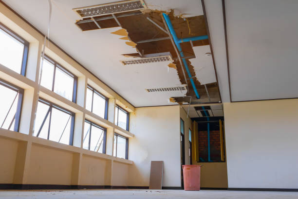 Best 24-hour water damage restoration  in Munster, IN