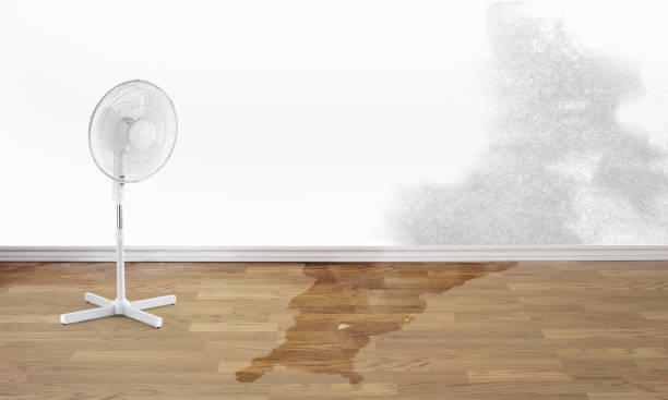 Best Ceiling water damage repair  in Munster, IN