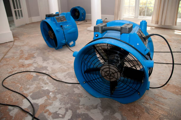Professional Water damage restoration in IN