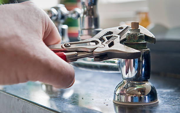 Best Professional water damage repair  in Munster, IN