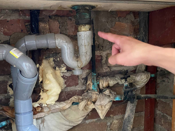 Best Sewage cleanup and water damage restoration  in Munster, IN