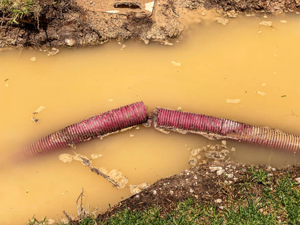 Best 24/7 water damage repair  in Munster, IN