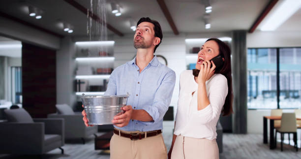 Best Flood damage cleanup  in Munster, IN